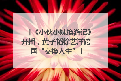 《小伙小妹换游记》开播，黄子韬徐艺洋跨国“交换人生”