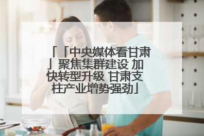 「中央媒体看甘肃」聚焦集群建设 加快转型升级 甘肃支柱产业增势强劲