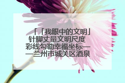 「我眼中的文明」针脚丈量文明尺度 彩线勾勒幸福坐标——兰州市城关区酒泉路街道办事处