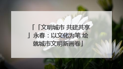 「文明城市 共建共享」永春：以文化为笔 绘就城市文明新画卷