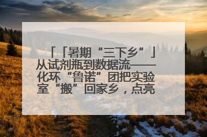 「暑期“三下乡”」从试剂瓶到数据流——化环“鲁诺”团把实验室“搬”回家乡，点亮桑梓求知路
