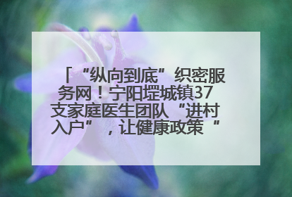 “纵向到底”织密服务网！宁阳堽城镇37支家庭医生团队“进村入户”，让健康政策“落地生根”