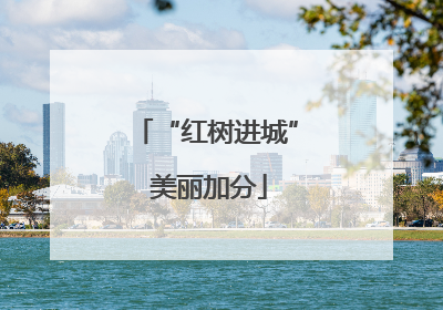 “红树进城” 美丽加分