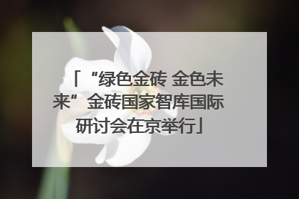 “绿色金砖 金色未来”金砖国家智库国际研讨会在京举行