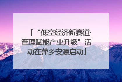 “低空经济新赛道·管理赋能产业升级”活动在萍乡安源启动