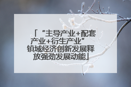 “主导产业+配套产业+衍生产业” 镇域经济创新发展释放强劲发展动能