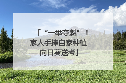 “一举夺魁”！家人手捧自家种植向日葵送考