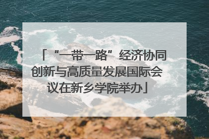 “一带一路”经济协同创新与高质量发展国际会议在新乡学院举办