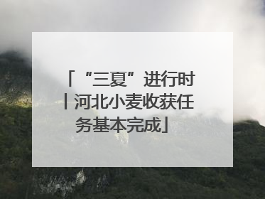 “三夏”进行时丨河北小麦收获任务基本完成