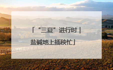 “三夏”进行时｜盐碱地上插秧忙
