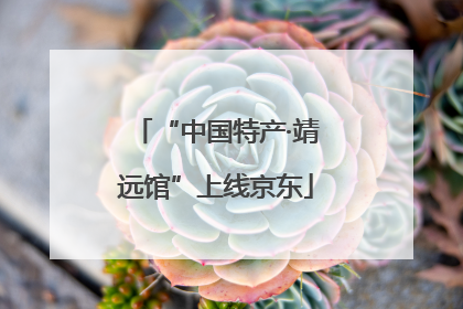 “中国特产·靖远馆”上线京东