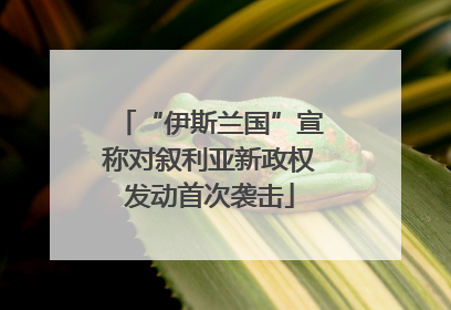“伊斯兰国”宣称对叙利亚新政权发动首次袭击