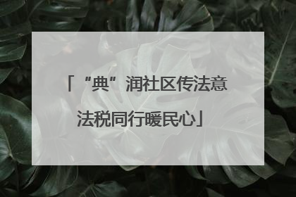 “典”润社区传法意 法税同行暖民心