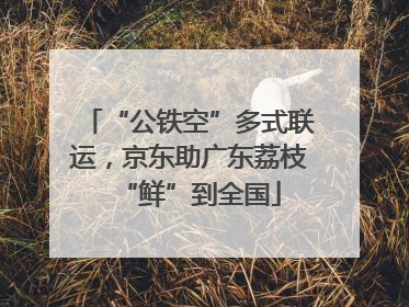 “公铁空”多式联运，京东助广东荔枝“鲜”到全国