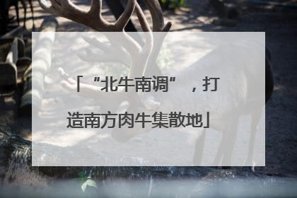 “北牛南调”，打造南方肉牛集散地