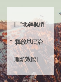“北疆枫桥”释放基层治理新效能