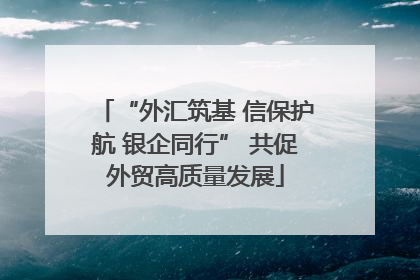 “外汇筑基 信保护航 银企同行” 共促外贸高质量发展