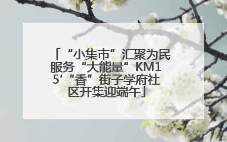 “小集市”汇聚为民服务“大能量”KM15′“香”街子学府社区开集迎端午