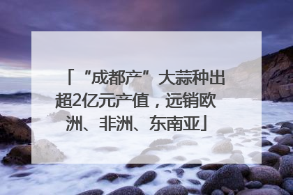 “成都产”大蒜种出超2亿元产值，远销欧洲、非洲、东南亚