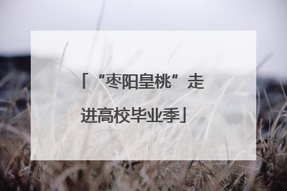 “枣阳皇桃”走进高校毕业季