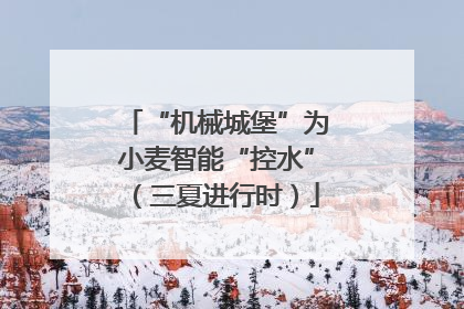 “机械城堡”为小麦智能“控水”（三夏进行时）