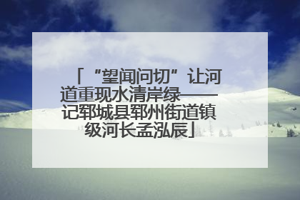 “望闻问切”让河道重现水清岸绿——记郓城县郓州街道镇级河长孟泓辰