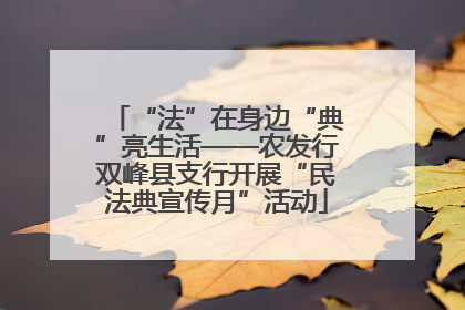 “法”在身边“典”亮生活——农发行双峰县支行开展“民法典宣传月”活动