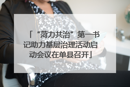 “菏力共治”第一书记助力基层治理活动启动会议在单县召开