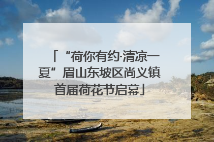 “荷你有约·清凉一夏”眉山东坡区尚义镇首届荷花节启幕