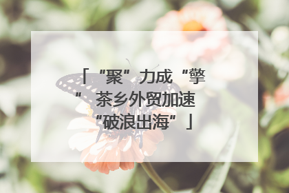 “聚”力成“擎” 茶乡外贸加速“破浪出海”