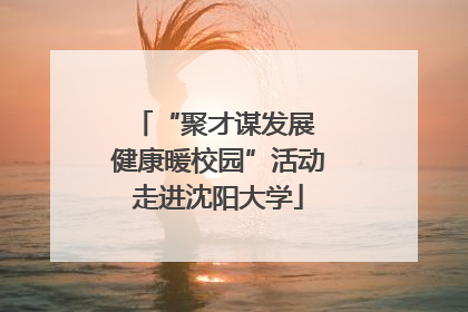 “聚才谋发展 健康暖校园”活动走进沈阳大学
