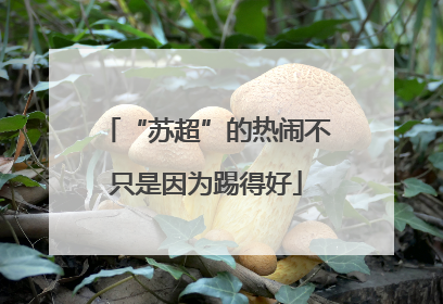 “苏超”的热闹不只是因为踢得好