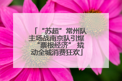 “苏超”常州队主场战南京队引爆“票根经济” 撬动全城消费狂欢