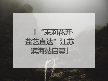“茉莉花开·盐艺直达”江苏滨海站启幕