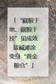 “藏粮于地、藏粮于技”见成效 盐碱滩涂变身“黄金粮仓”