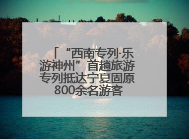 “西南专列·乐游神州”首趟旅游专列抵达宁夏固原 800余名游客开启清凉之旅