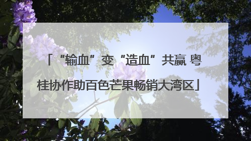 “输血”变“造血”共赢 粤桂协作助百色芒果畅销大湾区