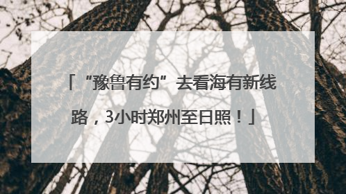 “豫鲁有约”去看海有新线路，3小时郑州至日照！