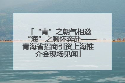 “青”之朝气相邀 “海”之胸怀奔赴——青海省招商引资上海推介会现场见闻