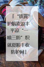 “铁翼”护航麦浪丰 平凉“一喷三防”织就夏粮丰收防护网