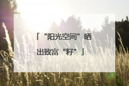 “阳光空间”晒出致富“籽”