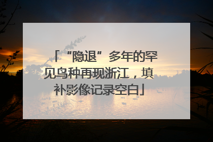 “隐退”多年的罕见鸟种再现浙江，填补影像记录空白