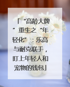 “高龄大牌”重生之“年轻化”：乐高与耐克联手，盯上年轻人和宠物的钱包