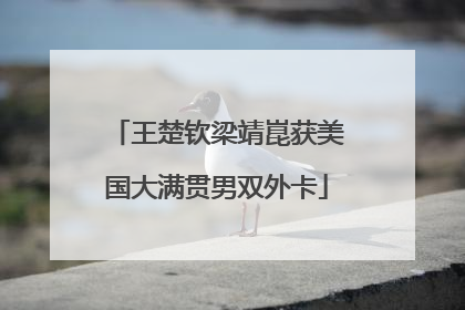 王楚钦梁靖崑获美国大满贯男双外卡