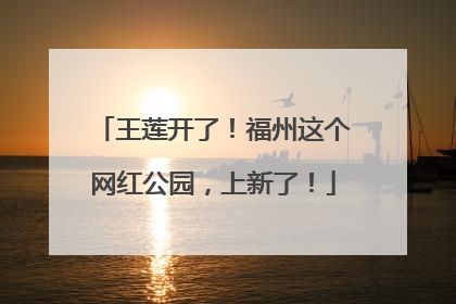 王莲开了！福州这个网红公园，上新了！
