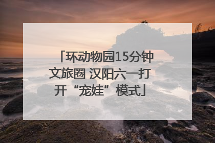环动物园15分钟文旅圈 汉阳六一打开“宠娃”模式
