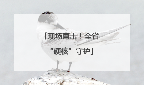 现场直击！全省“硬核”守护