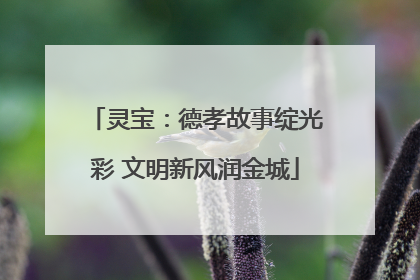 灵宝：德孝故事绽光彩 文明新风润金城