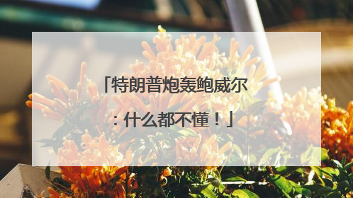 特朗普炮轰鲍威尔：什么都不懂！