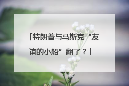 特朗普与马斯克“友谊的小船”翻了？
